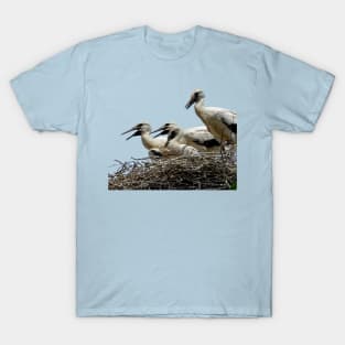 Storklings And Storklets Getting Ready To Leave The Nest T-Shirt